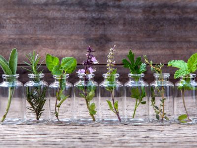 Acné, couperose, Herpès : découvrez les huiles essentielles pour les traiter naturellement