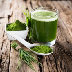 Les algues : propriétés et bienfaits cosmétiques