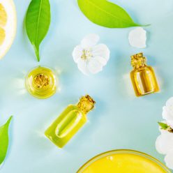 Huiles végétales acné : Les meilleures huiles végétales contre l'acné et les imperfections
