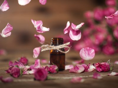 Bienfaits de l'huile végétale de Rose musquée : une huile précieuse pour les peaux matures