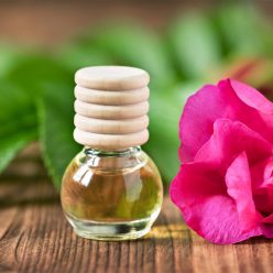 Huile essentielle de bois de rose : pour des cosmétiques haut de gamme