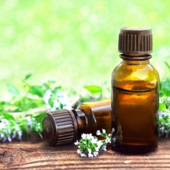 Huile essentielle de Thym à Linalol : tonique et anti-infectieuse