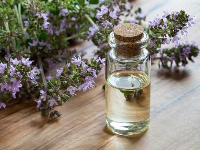 Thym à Linalol : l'huile essentielle anti parasites intestinaux