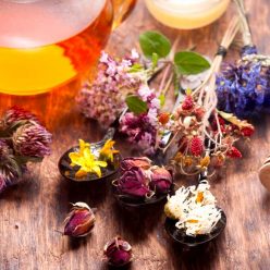 Détoxifier son foie grâce à la phytothérapie