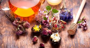 Détoxifier son foie grâce à la phytothérapie