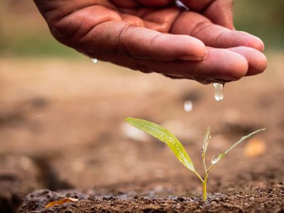 Consommation d'eau dans l'industrie, l'agriculture, l'élevage