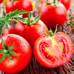 La tomate : des bienfaits santé et cosmétiques !
