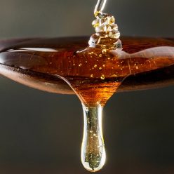 Miel : de multiples bienfaits pour la santé