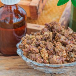 Propolis_abeille