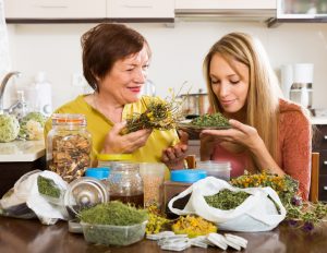 Top 10 des plantes médicinales à connaître