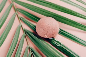 Découvrez comment utiliser une éponge Konjac et ses bienfaits pour votre peau. Image d'une éponge konjac rose sur une plante verte.